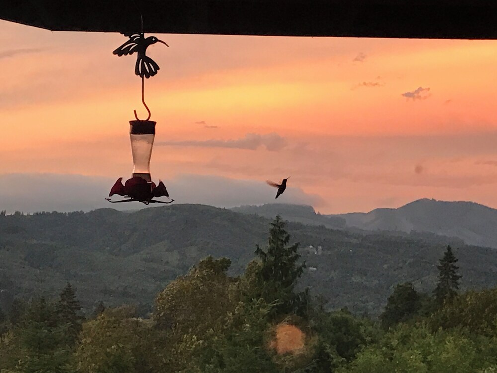 MapleRidge House: A BnB For All Seasons!