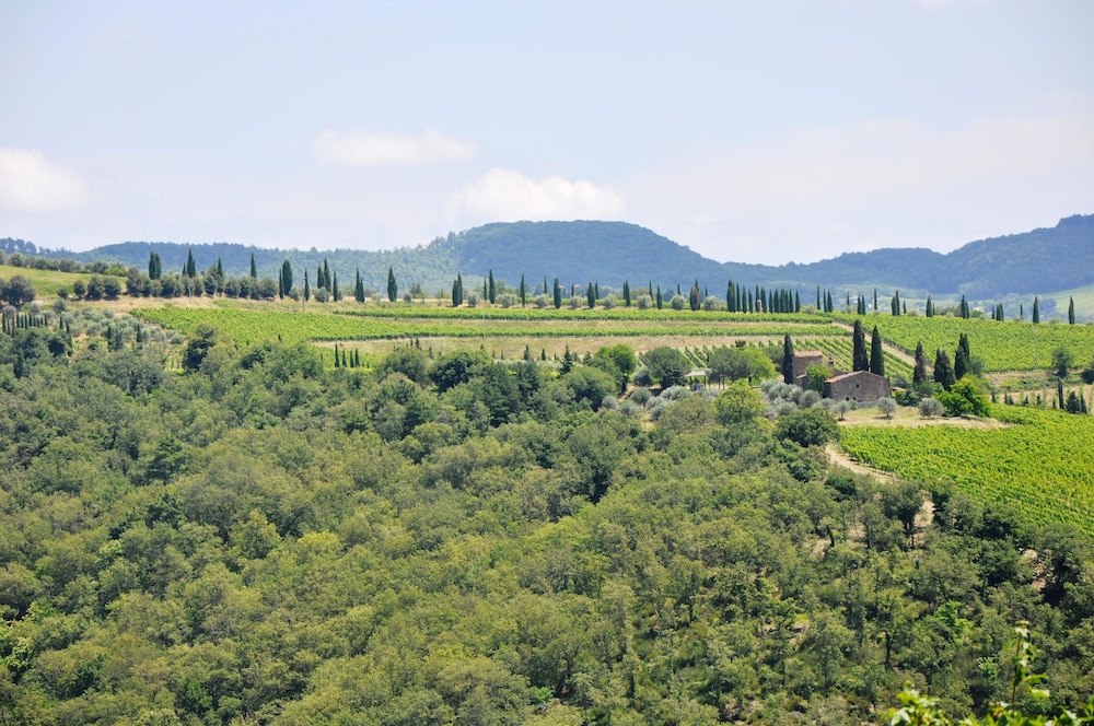 Borgo Castelvecchi