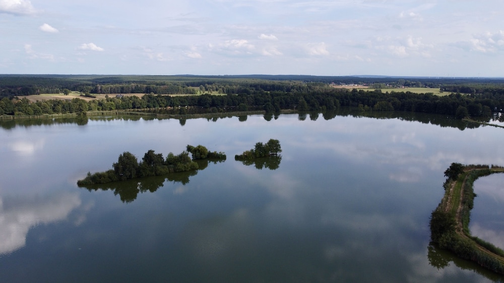 Ferienparadies Waldidylle