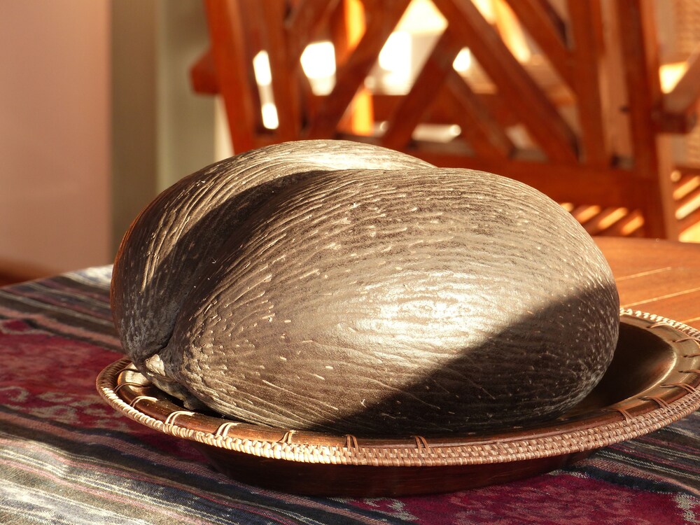 Photo 42