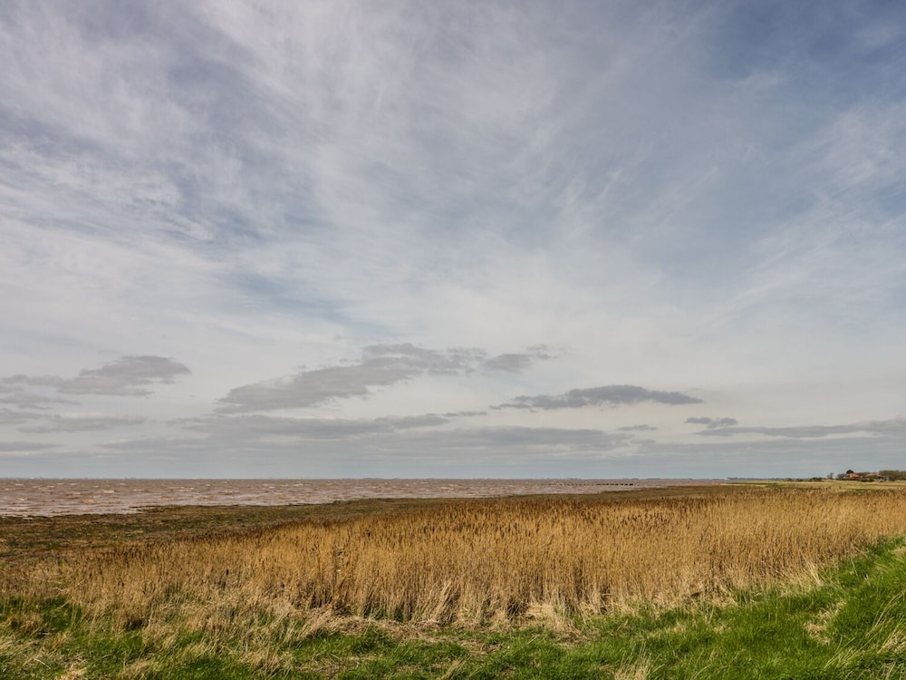 Bankhouse view 5