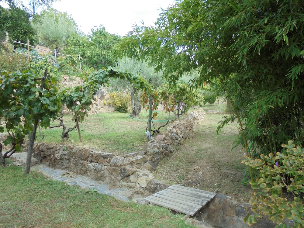 Photo 83