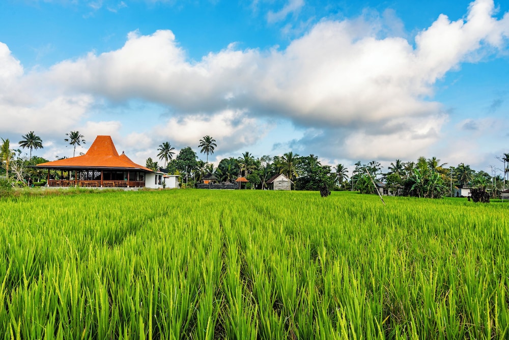 Akhsaya Villa, Sacred Wellness Retreat by Dhananjaya Hospitality