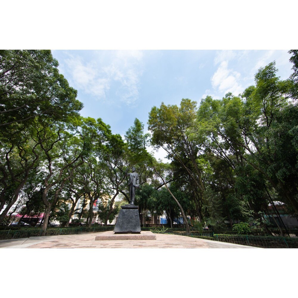 Sophisticated Park Venue Apartment Near Polanco view 5