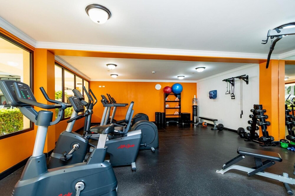 Luxury 1BR Condo Great Location Amenities