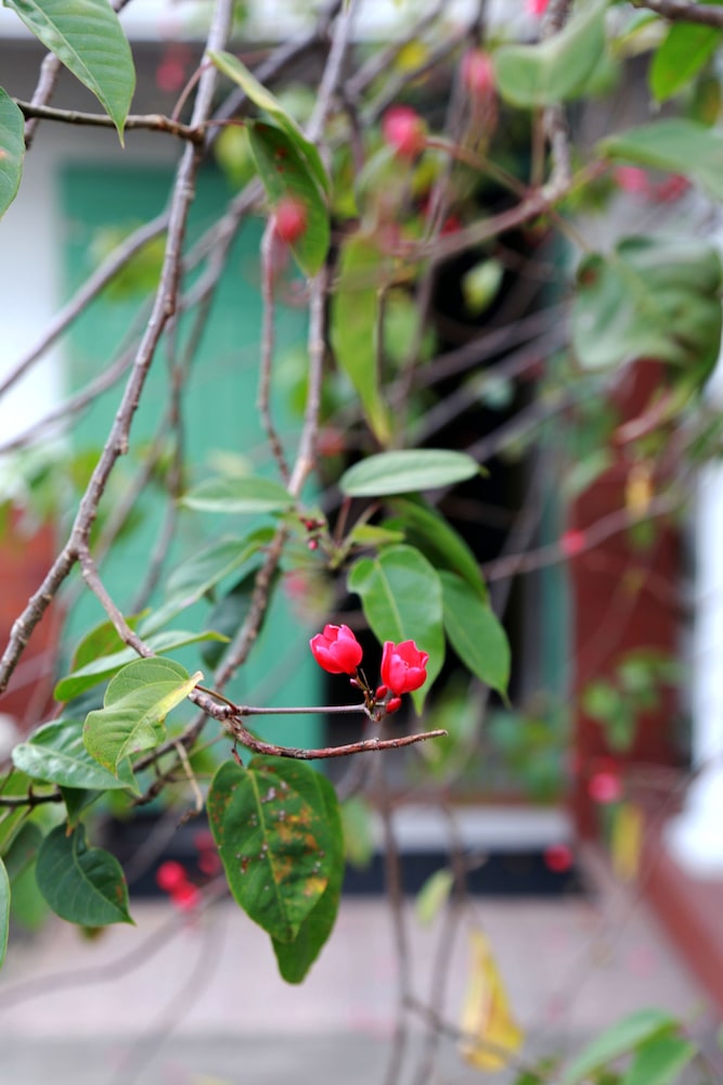 Millsborough Guest Apartments