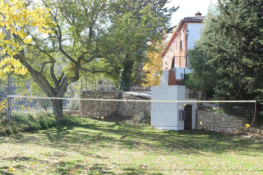 Photo 41