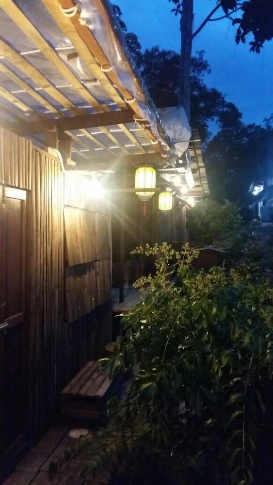 drmind farm
