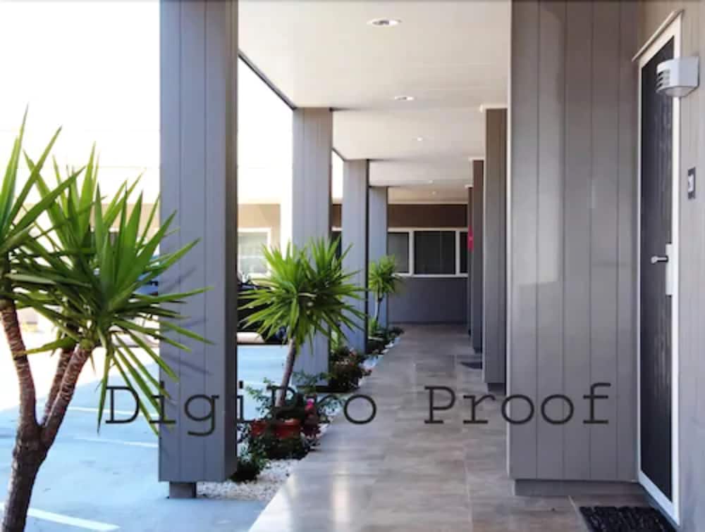 Hotel Auckland Phoenix Palm - Image 1