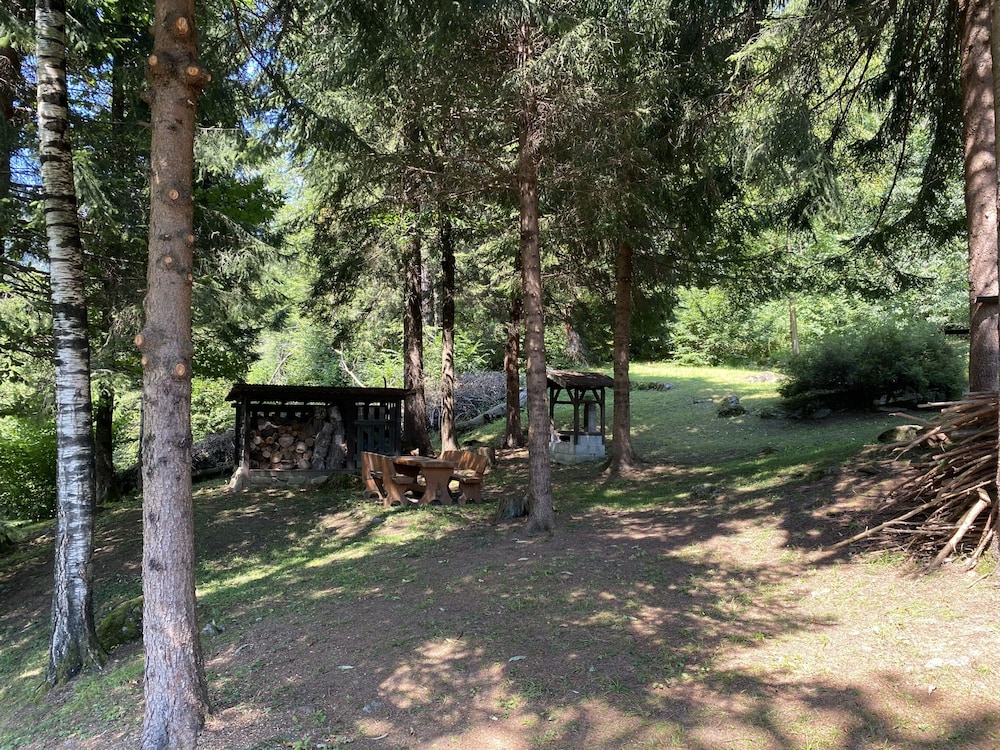 043 Trilocale nel Bosco Pinzolo