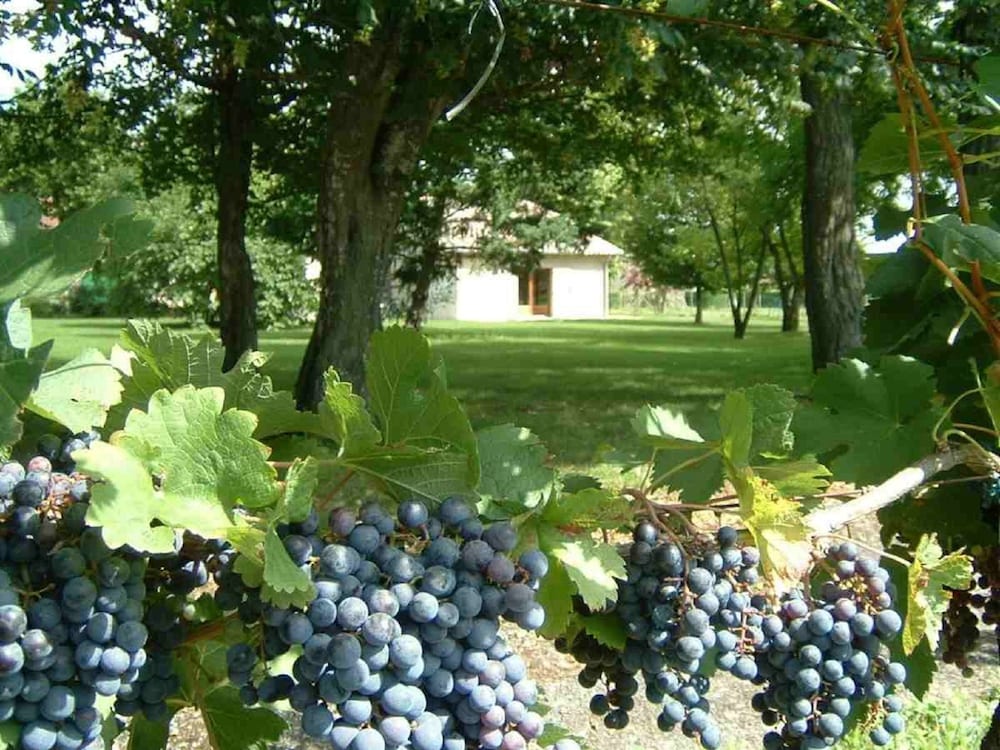 Domaine Maison DoDo