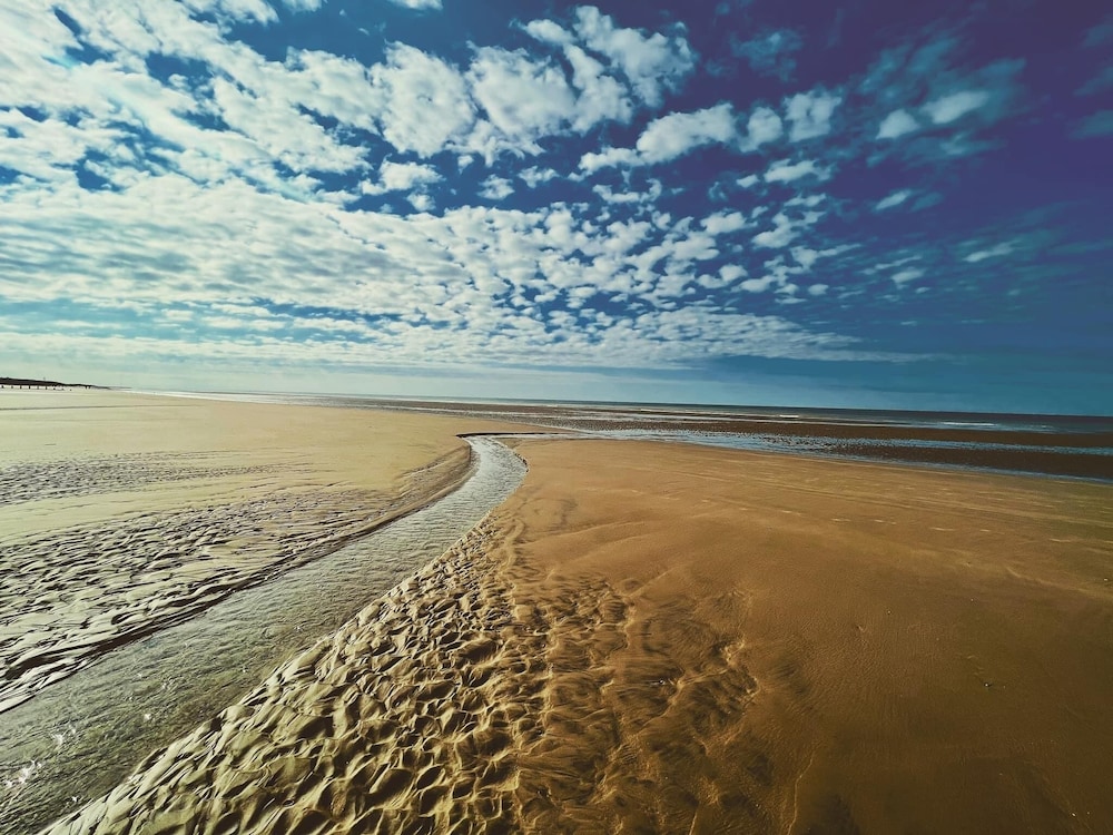 Photo 44
