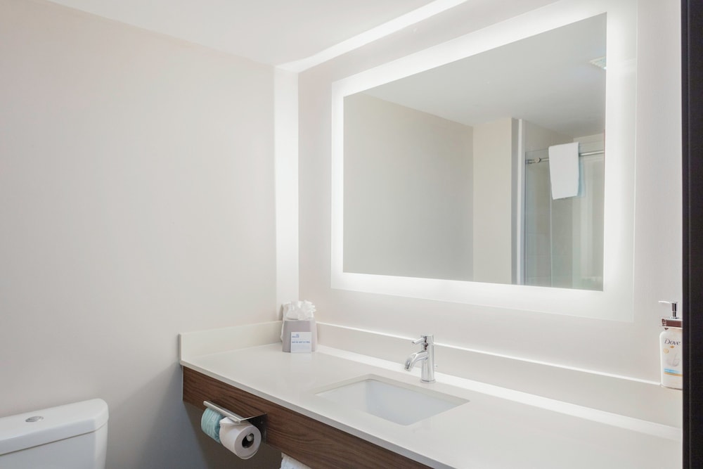 Roanoke Rapids Vacations - Holiday Inn Express  Suites Roanoke Rapids SE, an IHG Hotel - Property Image 44