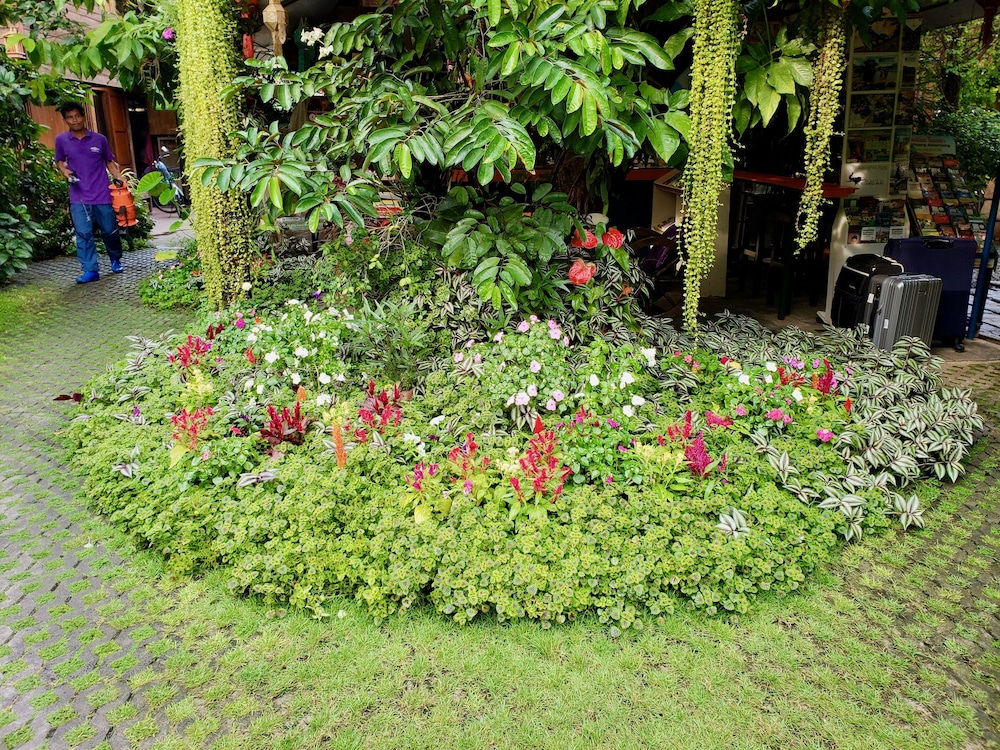 Photo 22