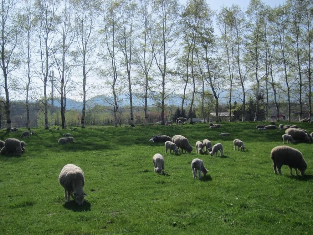 Yorkshire Farm