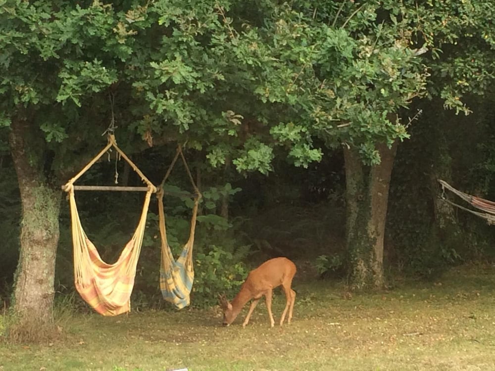 La Belle Relax