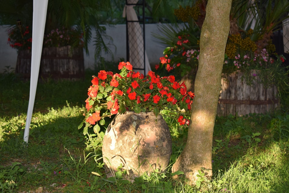 Agriturismo Il Marchese