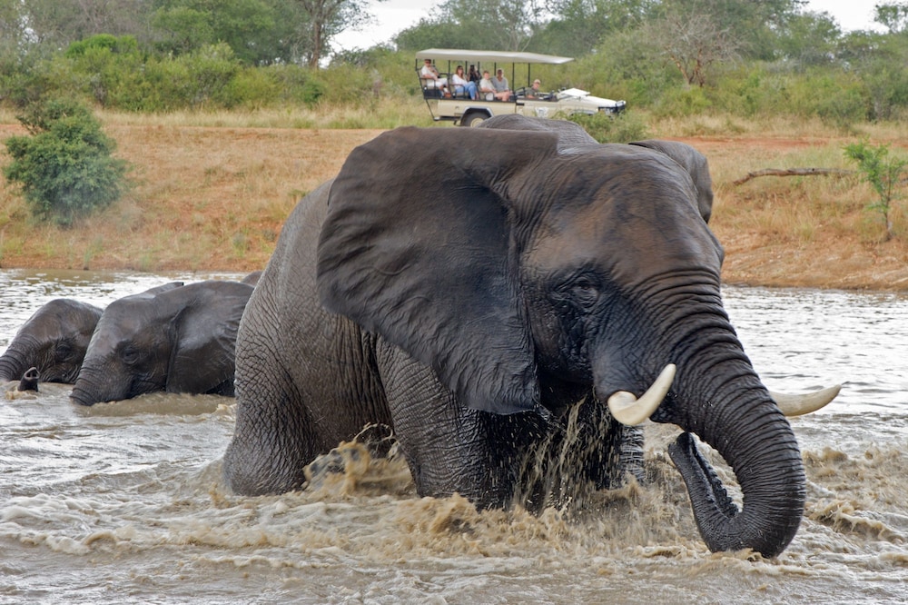 Jabulani Safari Relais & Chateaux