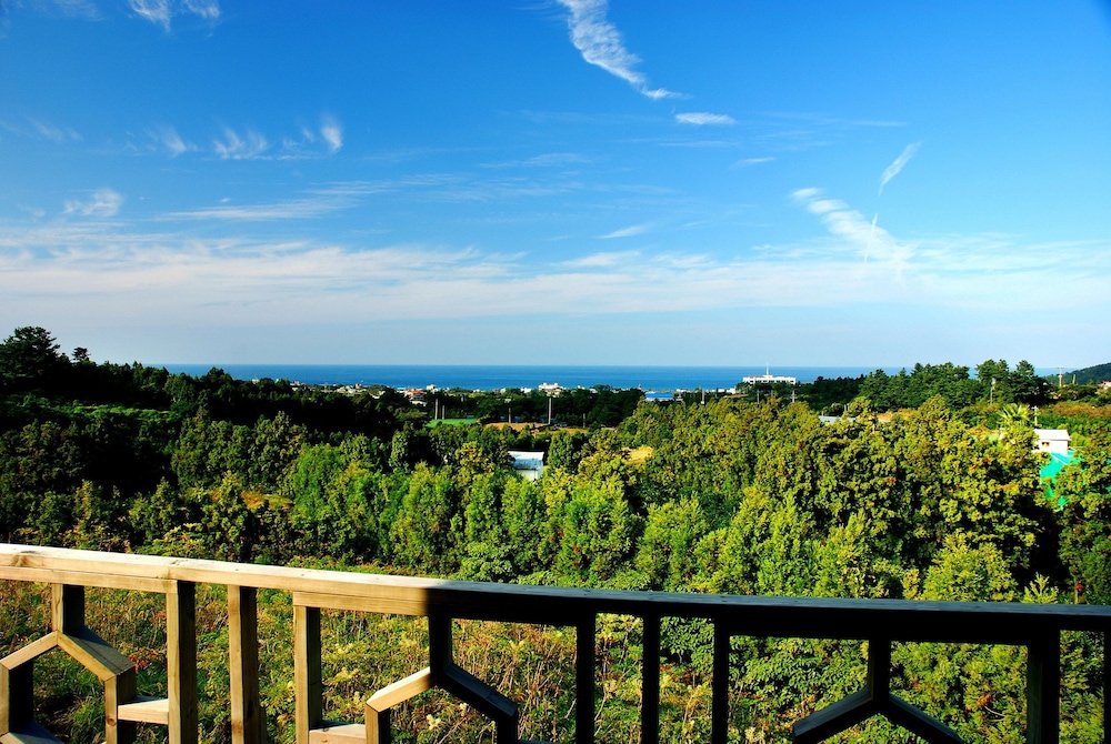 Jeju Parkland