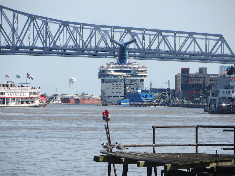 Urban Oasis 4BD House close to FQ - Image 5