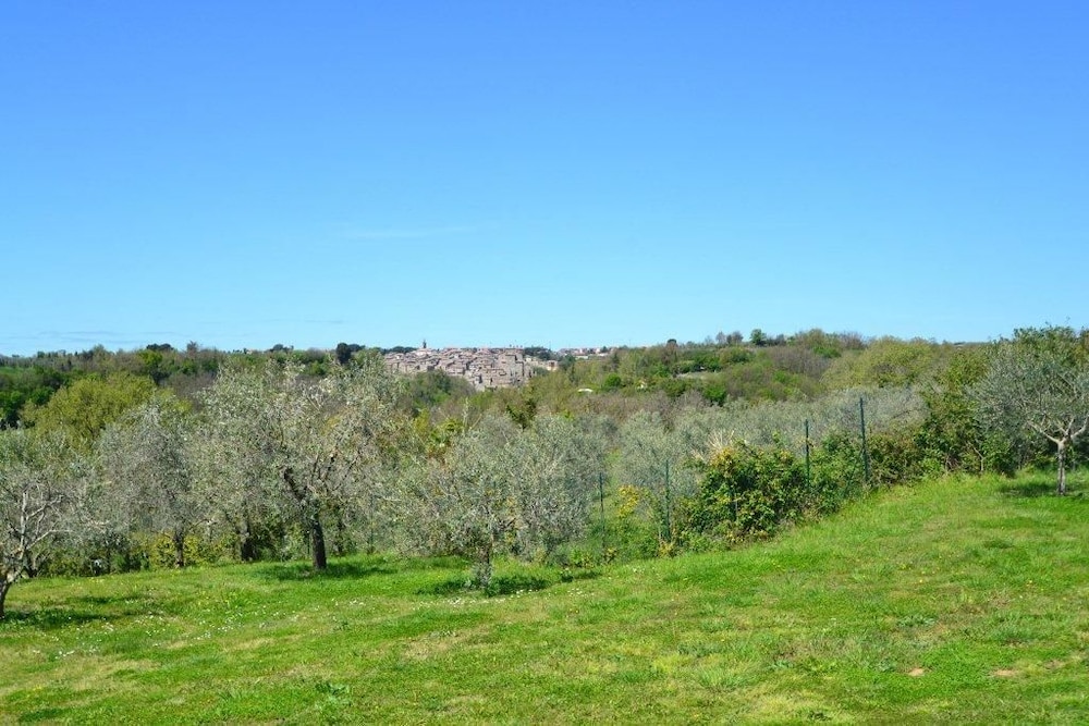 Verdidea - Villa degli Olivi view 4