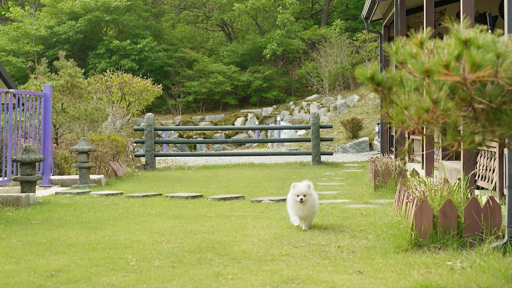 Hongcheon Vivaldi Four Seasons Pension