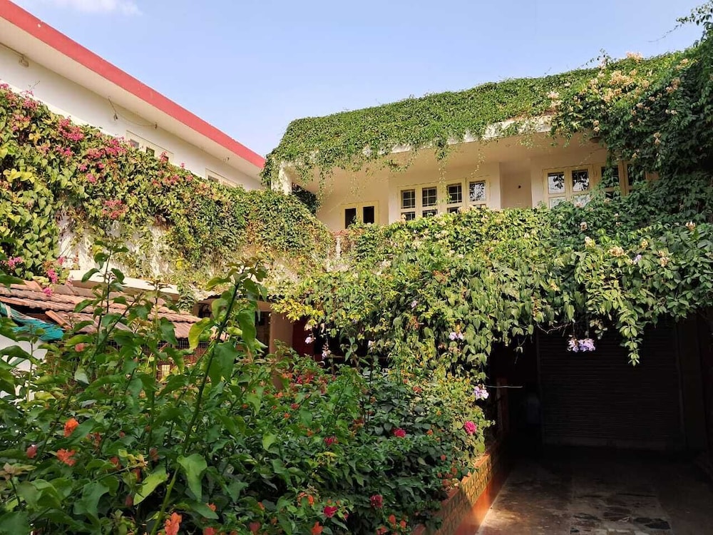 Vijaya's Homestead