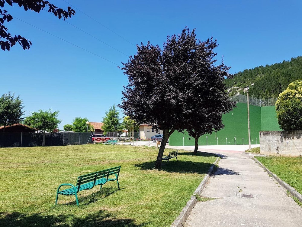 Photo 11