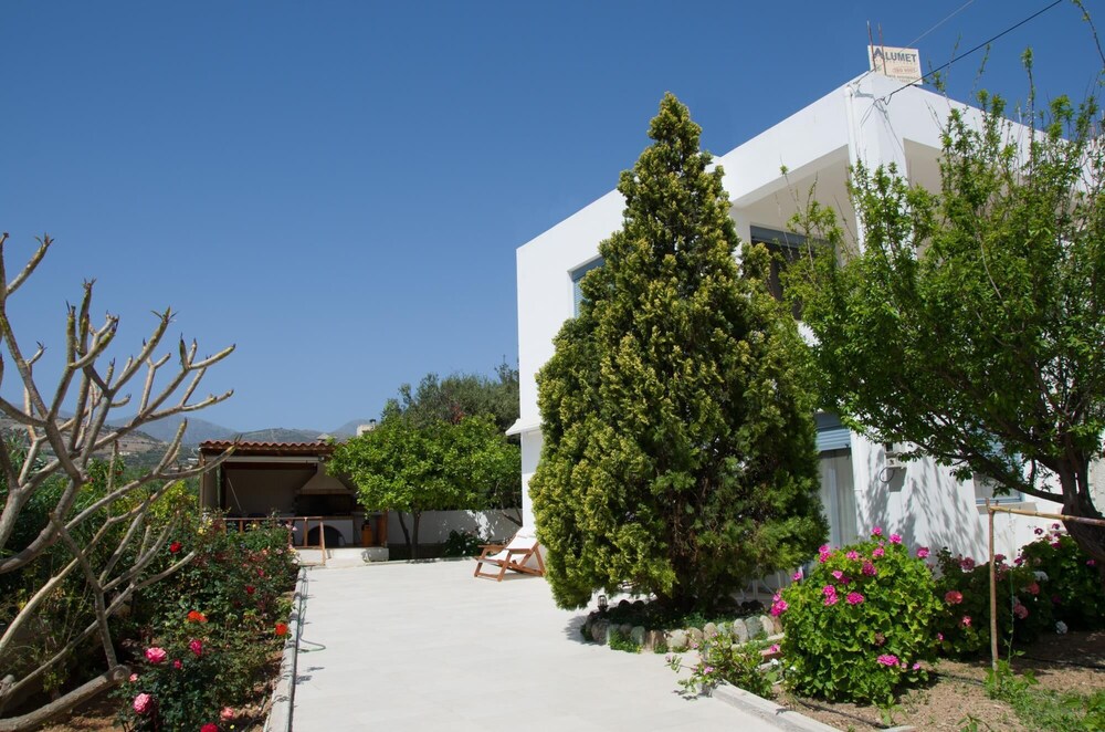 Photo 9