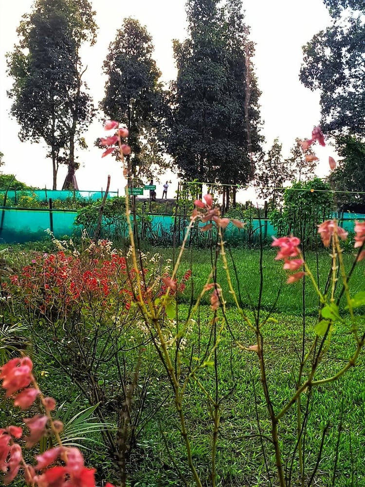 Infinity Viewpoint Homestay