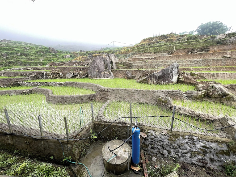 Hmong farmstay