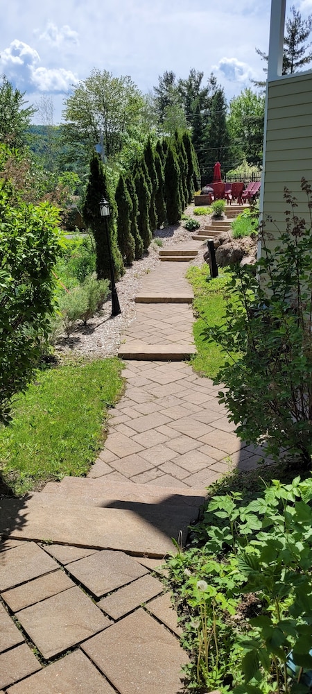 Photo 38