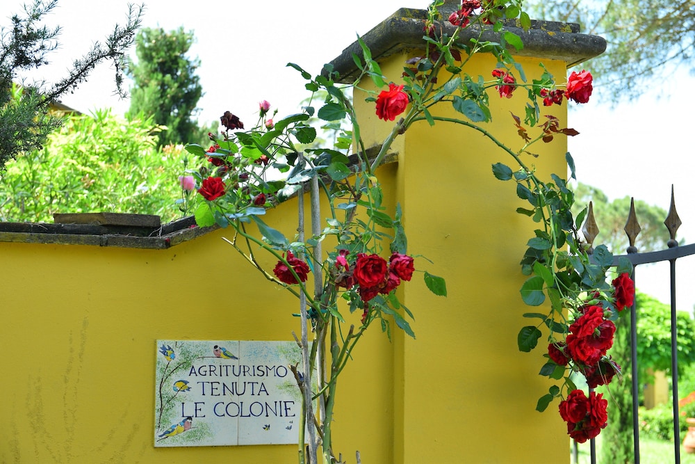 Tenuta Le Colonie