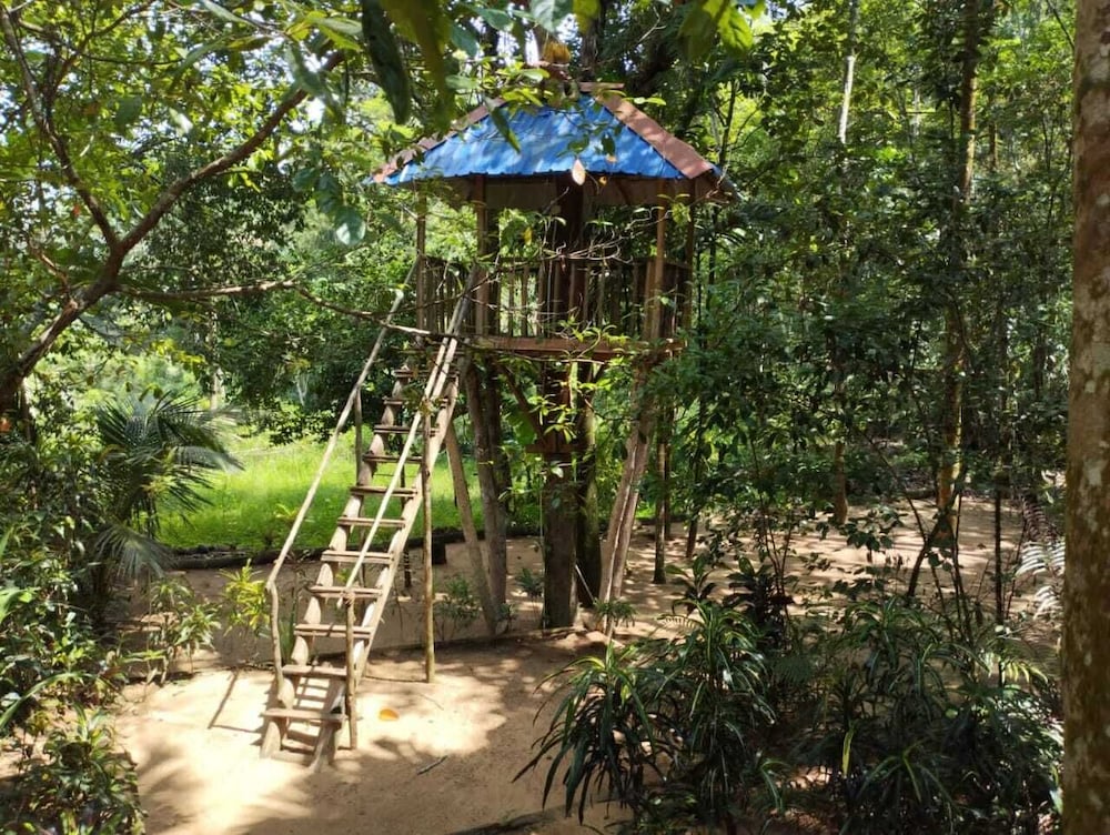 Makeliya Jungle & Waterfall Tour