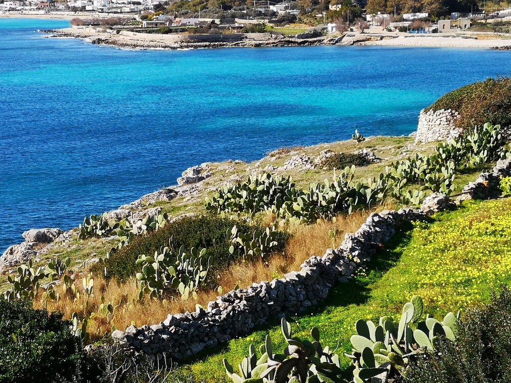 Villa Finestre sul Mare I view 2