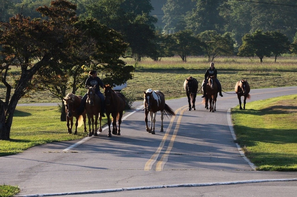 Pisgah View Ranch