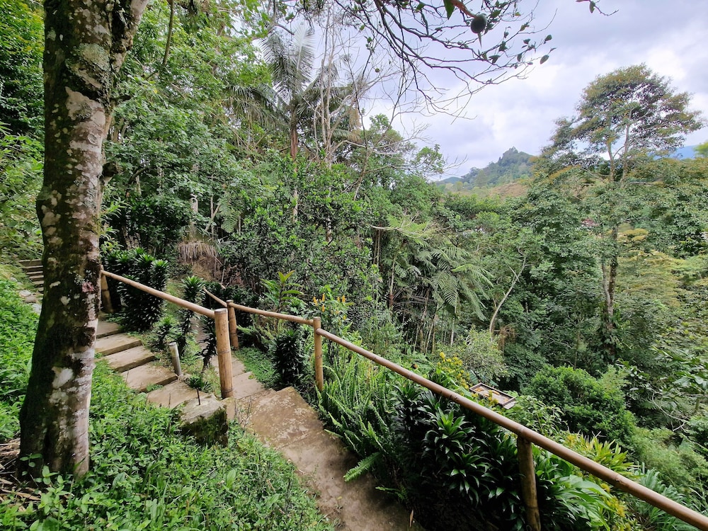Casa Tien