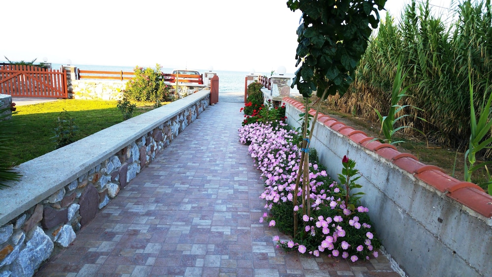 Nitelli's Houses