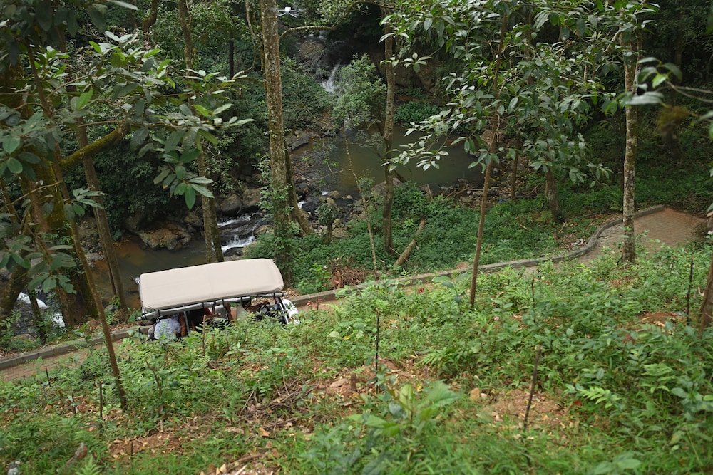 Nirjhara Coorg