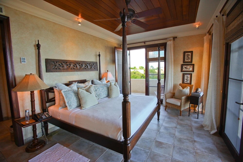 Anguilla's Bird of Paradise - Image 5