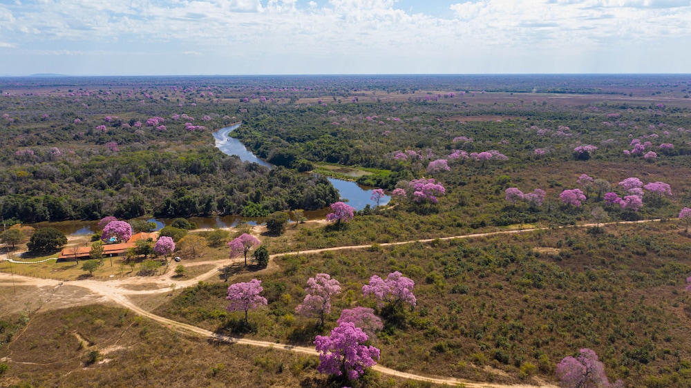SouthWild Pantanal Lodge