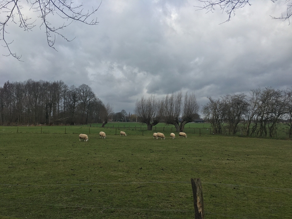 Farmhouse in Zelhem With Sauna Retreat view 2