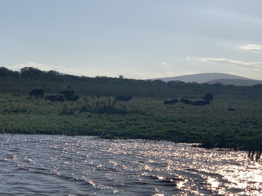 Shayamoya Tiger Fishing and Game Lodge