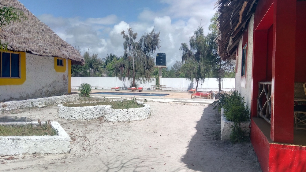 Photo 41