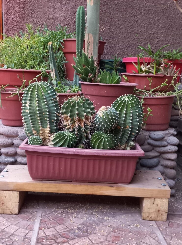 Casa Sutar 6