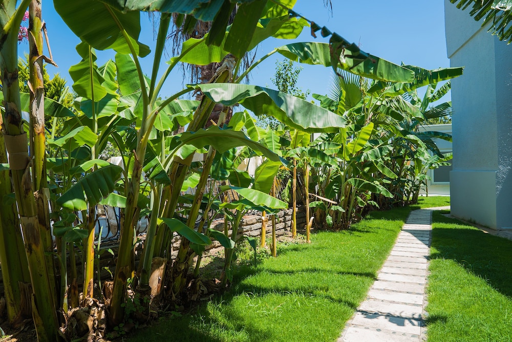 Art Suites Otel Bodrum - Image 30