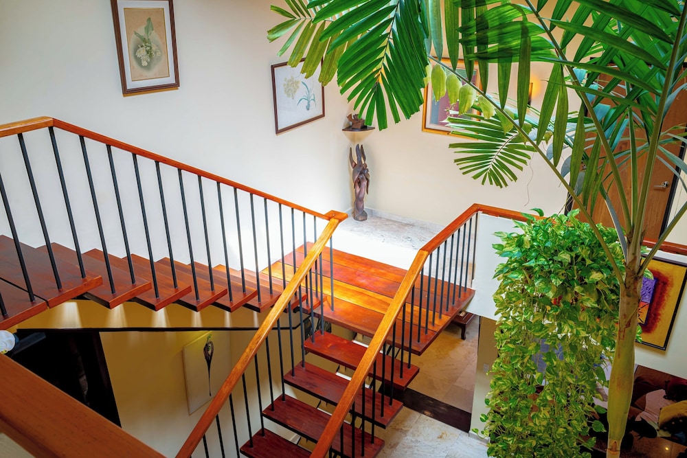 Stone Farmhouse in Groves - Sea Mountain Views