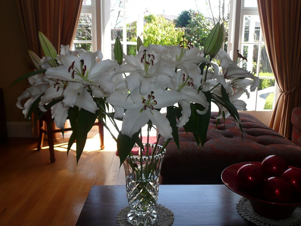 Photo 47
