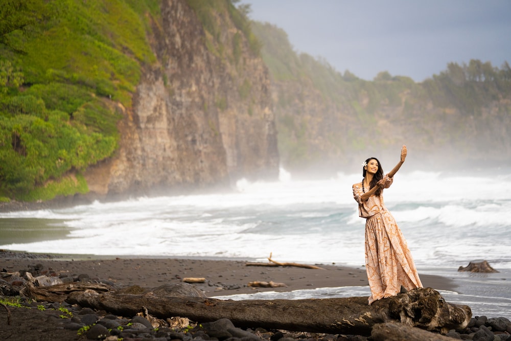 Fairmont Orchid - Property Image 89