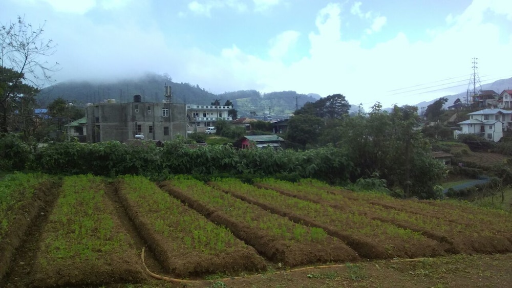 East Mount Villa
